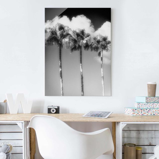 Wandbilder Landschaften Palmen vor Himmel Schwarz-Weiß