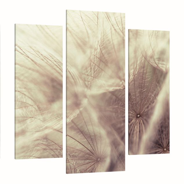 Leinwandbilder Blumen Detailreiche Pusteblumen Makroaufnahme mit Vintage Blur Effekt
