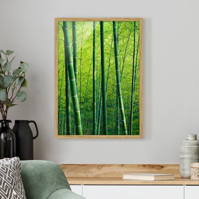 Wandbilder Bäume Bambuswald