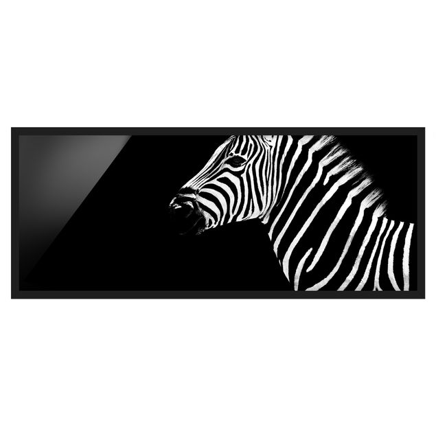 Gerahmte Bilder Tiere Zebra Safari Art
