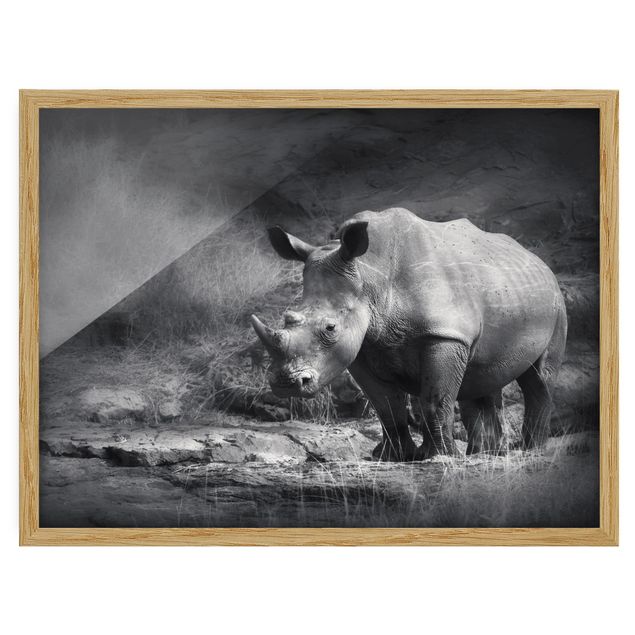 Tierbilder mit Rahmen Lonesome Rhinoceros