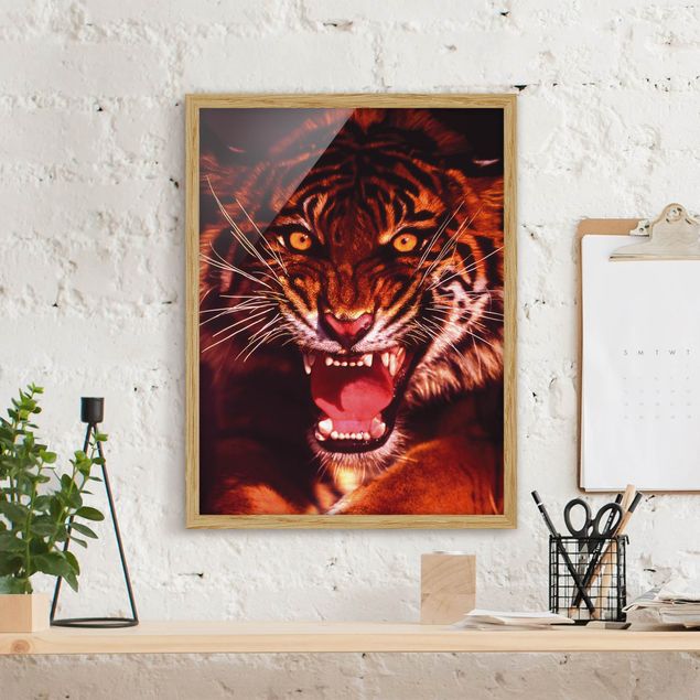 Wandbilder Tiger Wilder Tiger