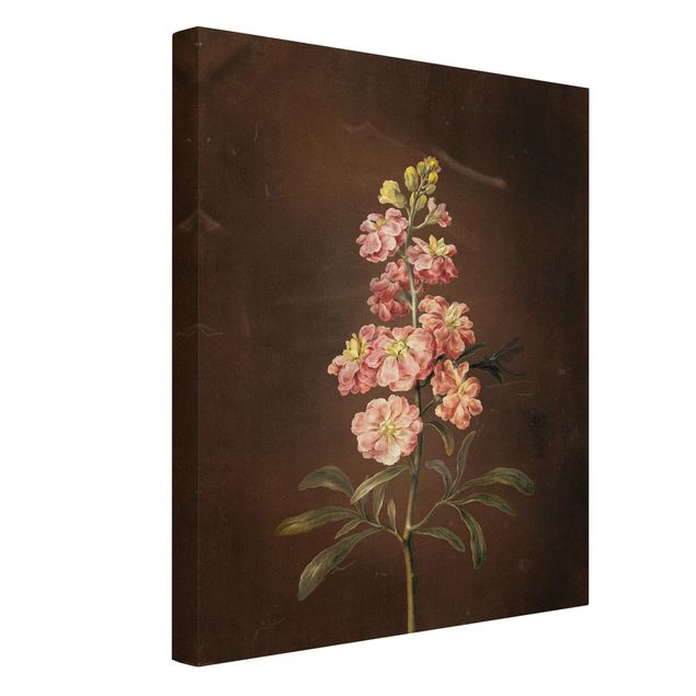 Wandbilder Floral Barbara Regina Dietzsch - Eine rosa Garten-Levkkoje
