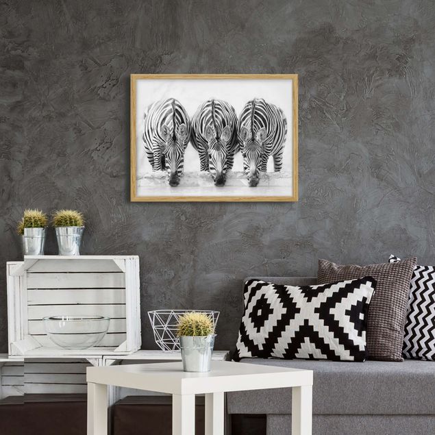 schwarz-weiß Bilder mit Rahmen Zebra Trio schwarz-weiß