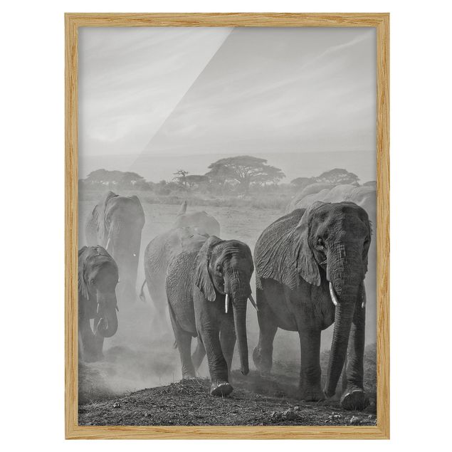 schwarz-weiß Bilder gerahmt Elefantenherde