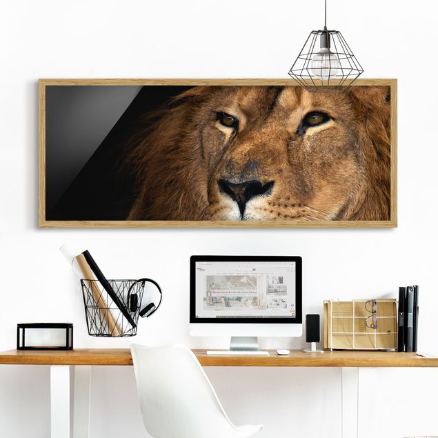Wandbilder Löwen Löwenblick