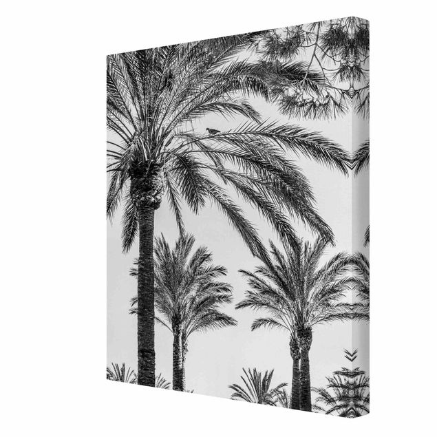 Wandbilder Floral Palmen im Sonnenuntergang Schwarz-Weiß