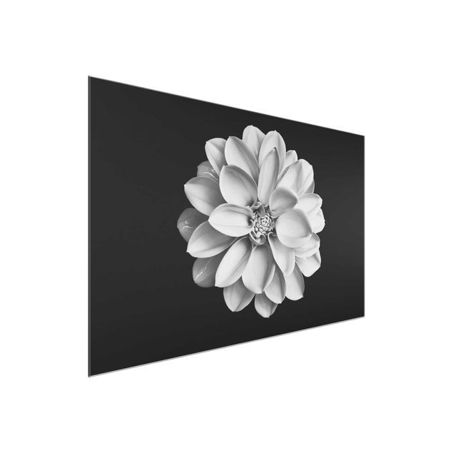 Wandbilder Floral Dahlie Schwarz Weiß