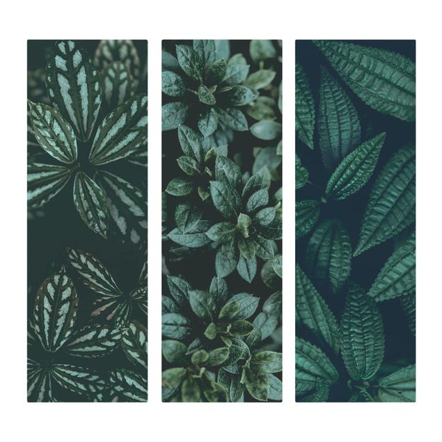 Wandbilder Grün Blätter Trio