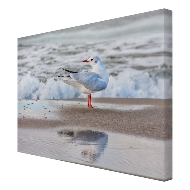 Kunstdruck Leinwand Möwe am Strand vor Meer