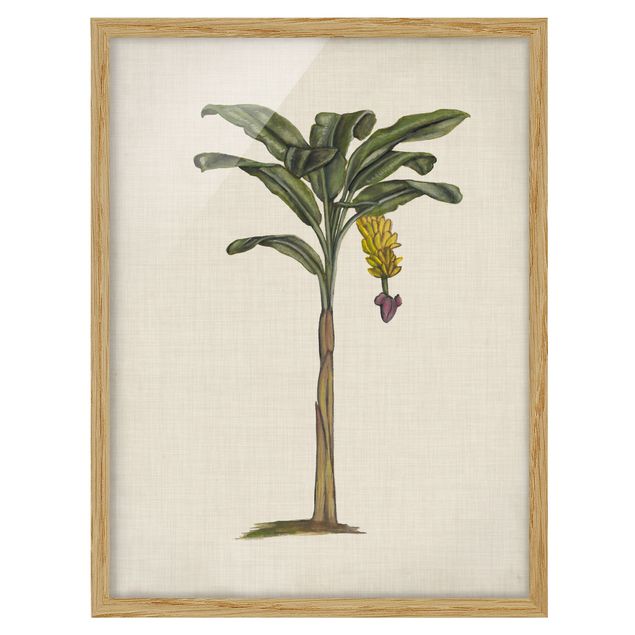 Wandbilder Floral Britische Palmen III