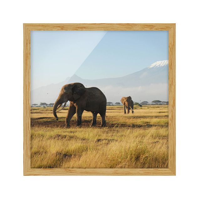 Landschaftsbilder mit Rahmen Elefanten vor dem Kilimanjaro in Kenya