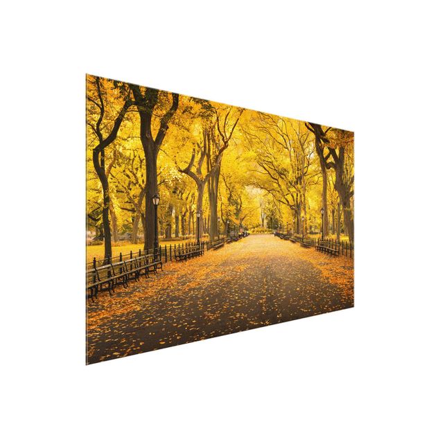 Glasbild Skyline Herbst im Central Park