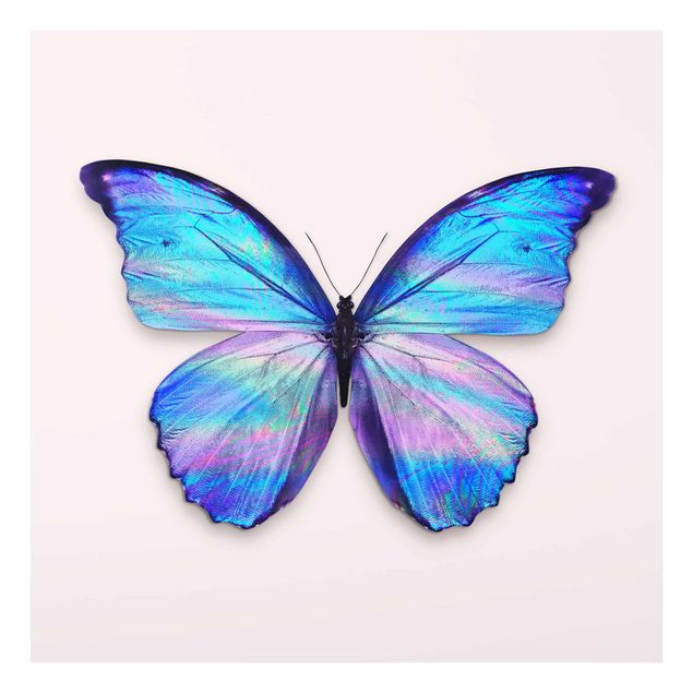 Glasbilder Tiere Holografischer Schmetterling