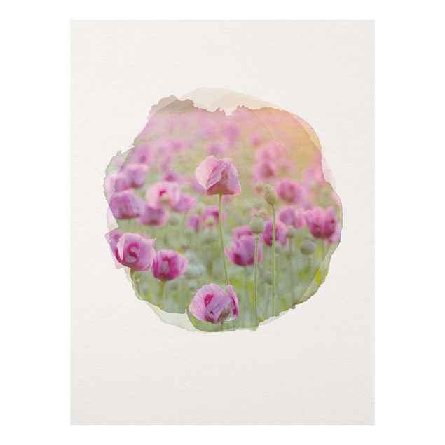 Glasbilder Blumen Wasserfarben - Violette Schlafmohn Blumenwiese im Frühling