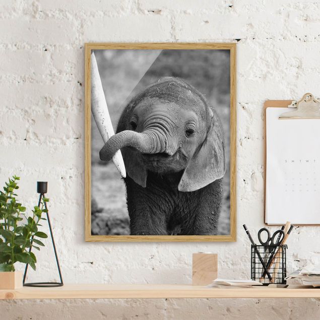 Deko Kinderzimmer Elefantenbaby