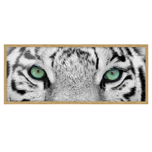 Tierbilder mit Rahmen Weißer Tiger
