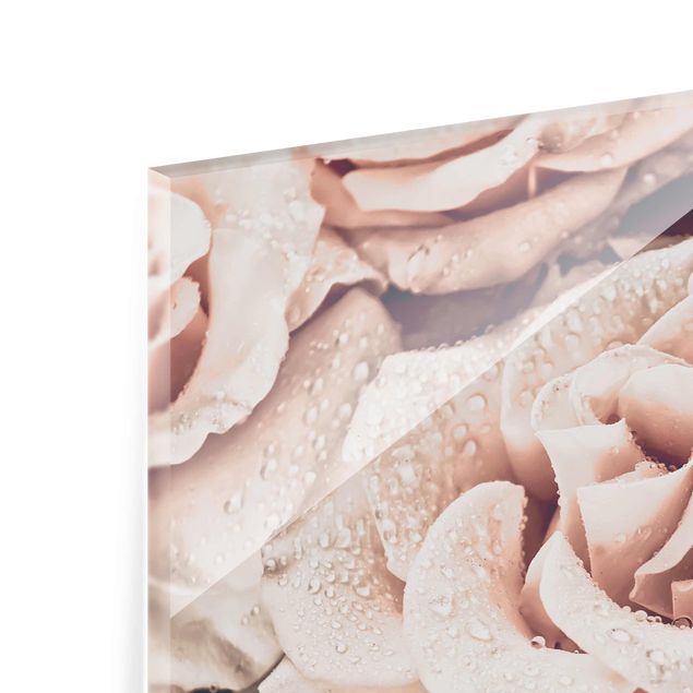 Wandbilder Rosen Sepia mit Wassertropfen