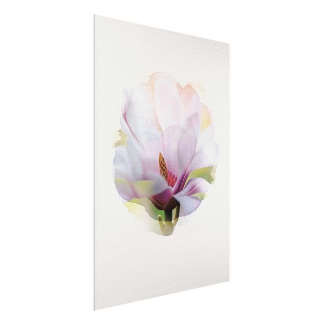 Wandbilder Floral Wasserfarben - Zarte Magnolienblüte