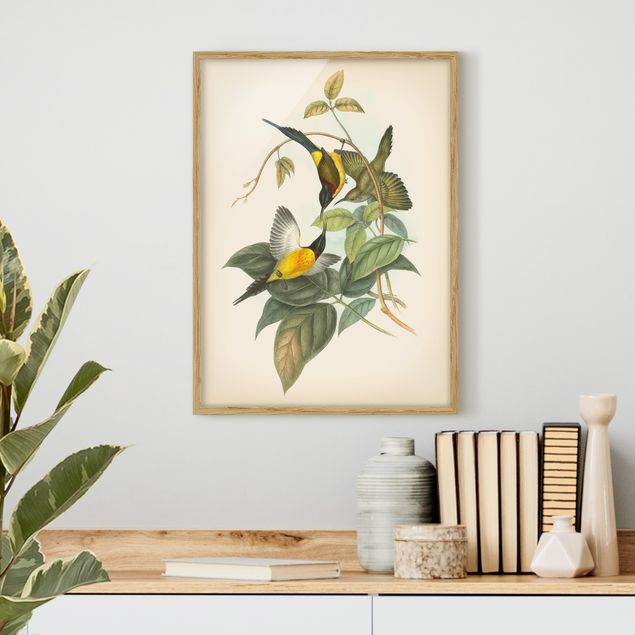 Wanddeko Küche Vintage Illustration Tropische Vögel IV