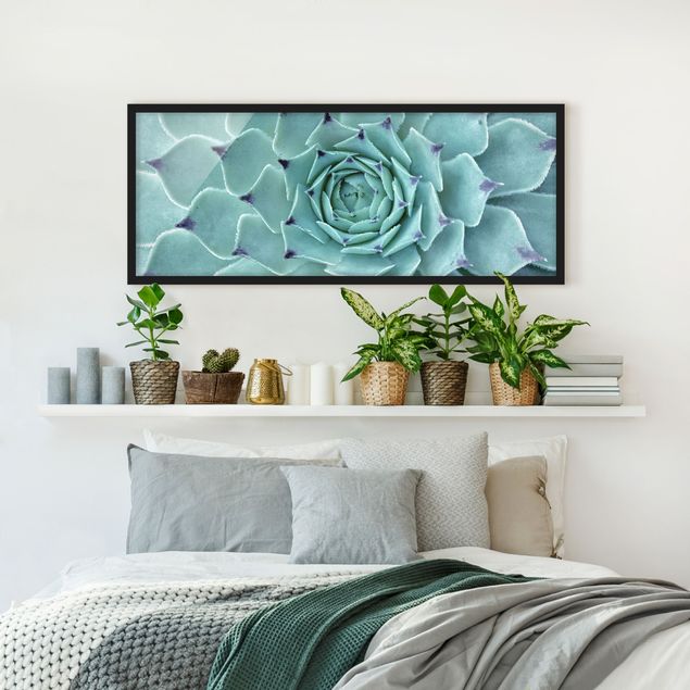 Blumenbilder mit Rahmen Kaktus Agave