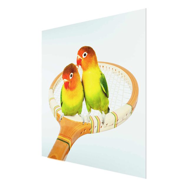 Wandbilder Türkis Tennis mit Vögeln