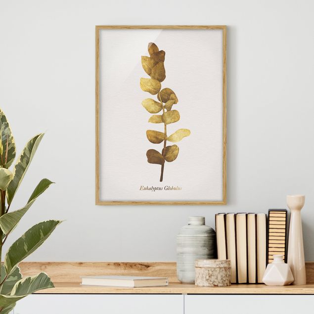gerahmte Blumenbilder Gold - Eukalyptus