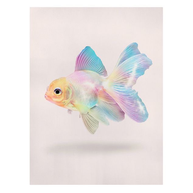 Wandbilder Kunstdrucke Fisch in Pastell