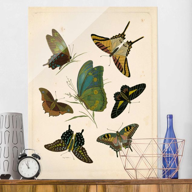 Wanddeko Küche Vintage Illustration Exotische Schmetterlinge
