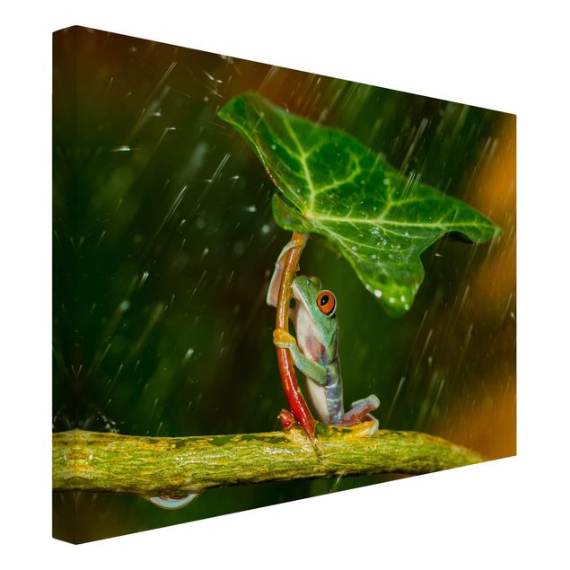 Wandbilder Floral Ein Frosch im Regen
