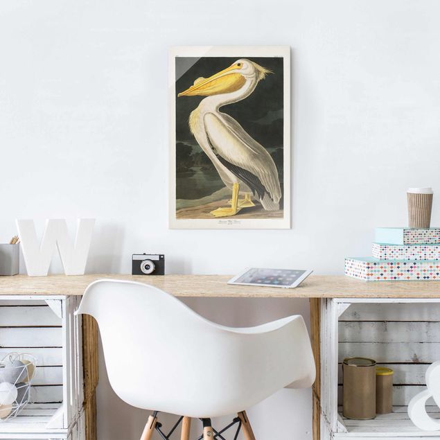 Wandbilder Retro Vintage Lehrtafel Weißer Pelikan