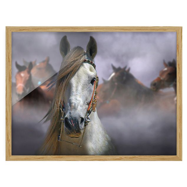 Wandbilder Abstrakt Horses in the Dust