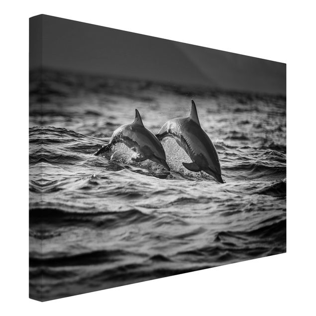 schwarz-weiß Bilder auf Leinwand Zwei springende Delfine