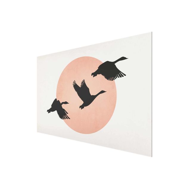Wandbilder Kunstdrucke Vögel vor rosa Sonne III