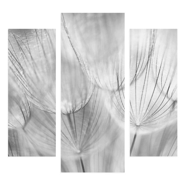 Blumenbilder auf Leinwand Pusteblumen Makroaufnahme in schwarz weiß