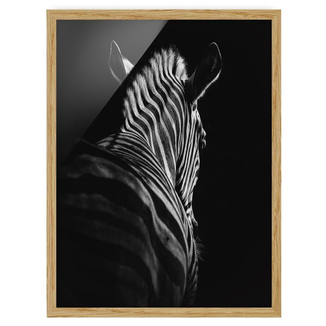 Gerahmte Bilder Tiere Dunkle Zebra Silhouette