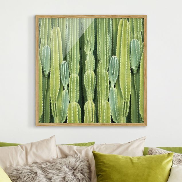 Blumenbilder mit Rahmen Kaktus Wand