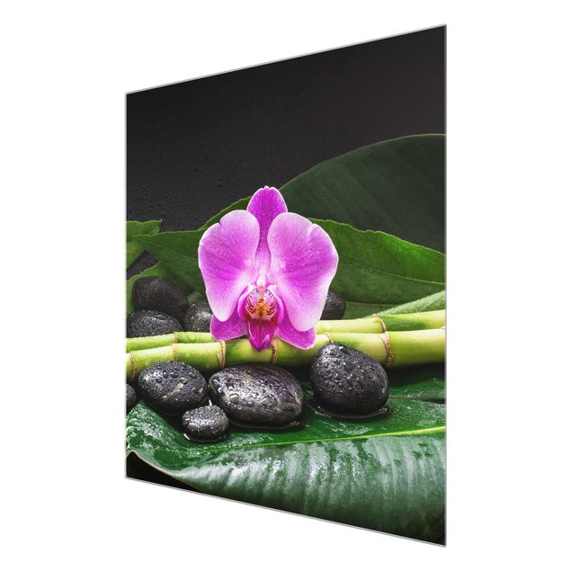 Wandbilder Floral Grüner Bambus mit Orchideenblüte