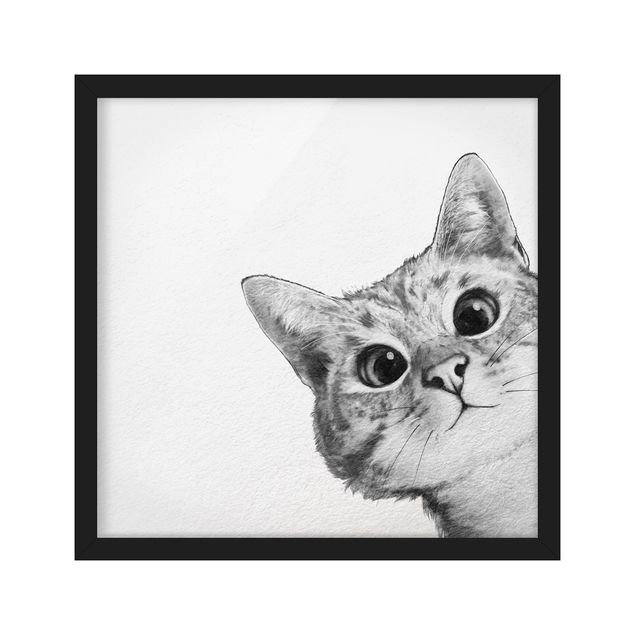 schwarz-weiß Bilder gerahmt Illustration Katze Zeichnung Schwarz Weiß