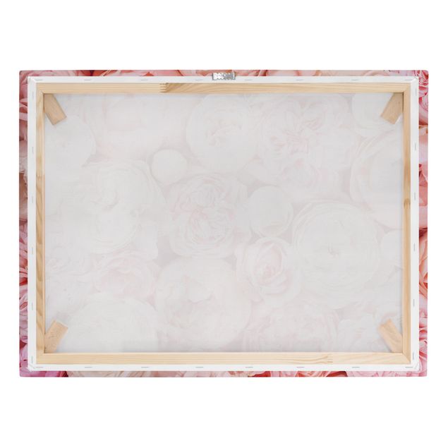 Leinwandbilder kaufen Rosen Rosé Koralle Shabby