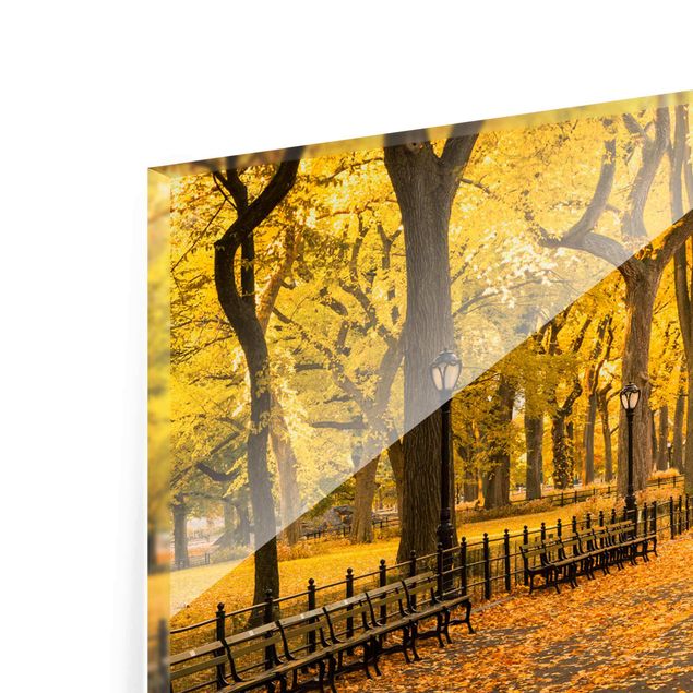 Wandbilder Orange Herbst im Central Park