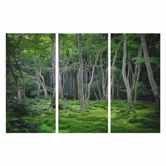 Leinwandbild Baum Japanischer Wald