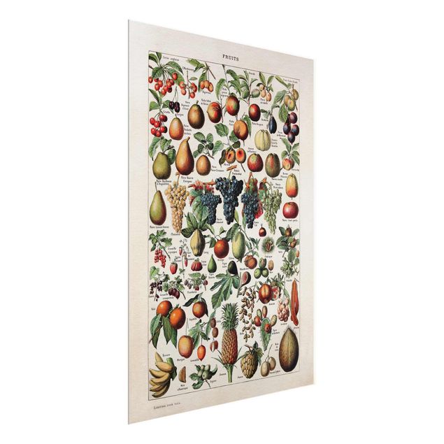 Wandbilder Floral Vintage Lehrtafel Früchte