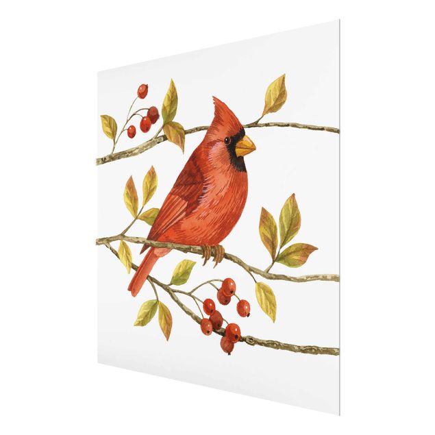 Glasbilder Vögel und Beeren - Rotkardinal