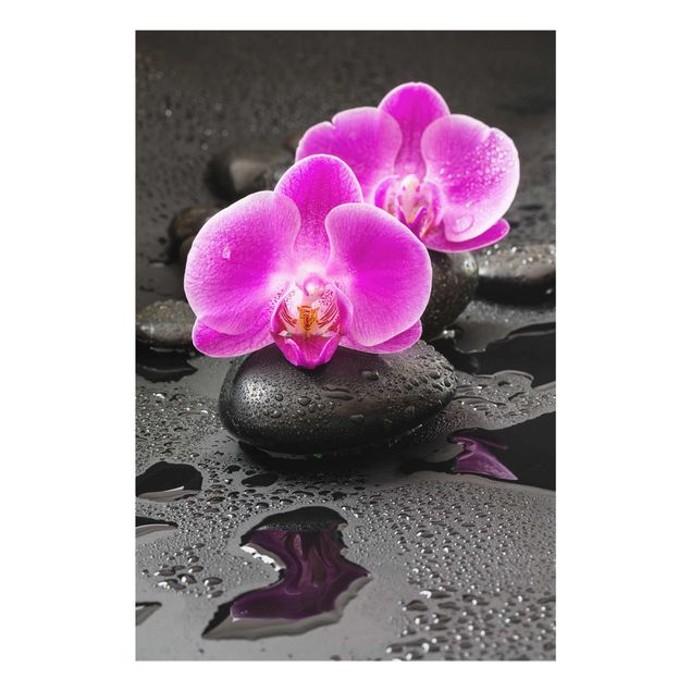 Wandbilder Floral Pinke Orchideenblüten auf Steinen mit Tropfen