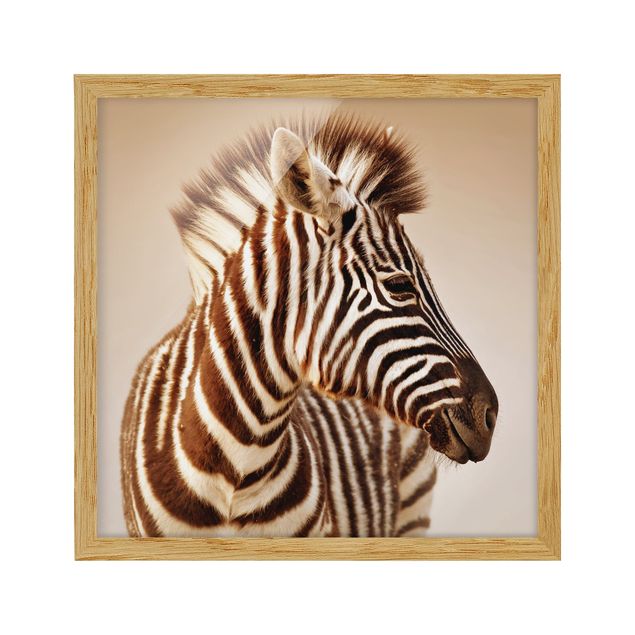 Gerahmte Bilder Tiere Zebra Baby Portrait