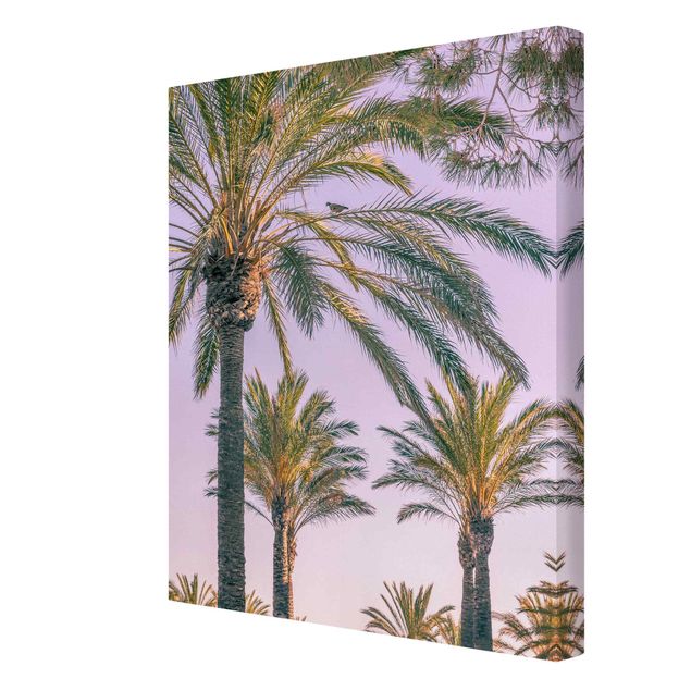 Wandbilder Blumen Palmen im Sonnenuntergang