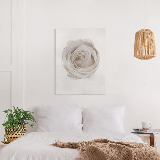 Blumenbilder auf Leinwand Wasserfarben - Pretty White Rose
