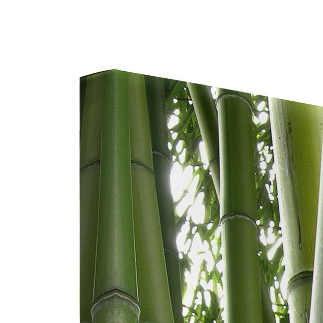 Leinwandbild Wald Bamboo Trees