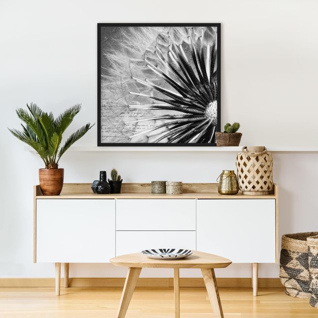 Blumenbilder mit Rahmen Pusteblume Schwarz & Weiß